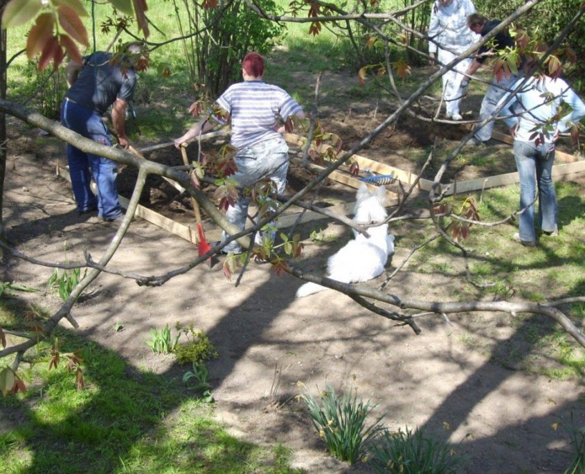 Tagebuch 201104-1